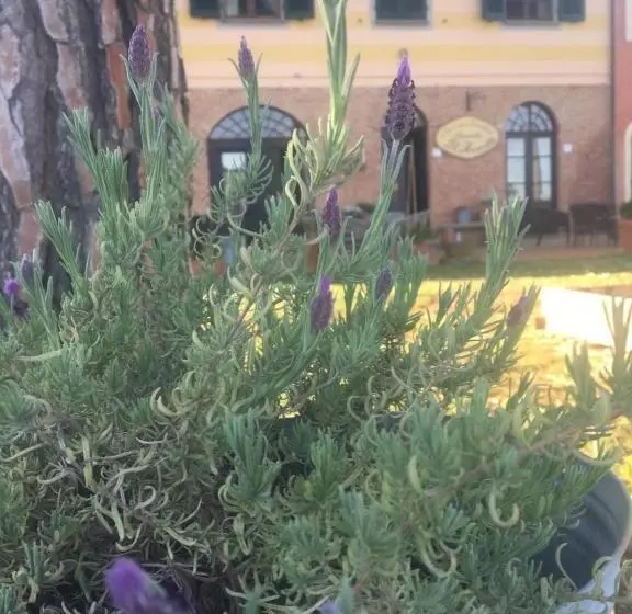 Aamiaismajoitus (B&B) Locanda Il Fornello