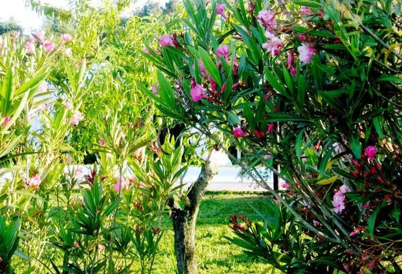 Aamiaismajoitus (B&B) Locanda Il Fornello