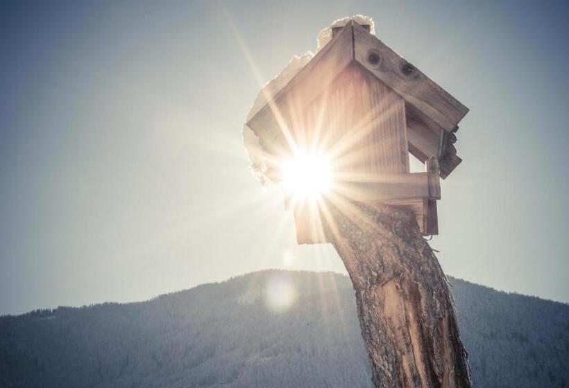 Historic Hotel Alte Goste