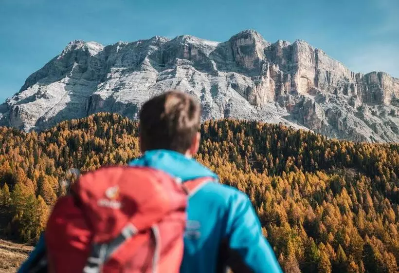 ホテル Des Alpes