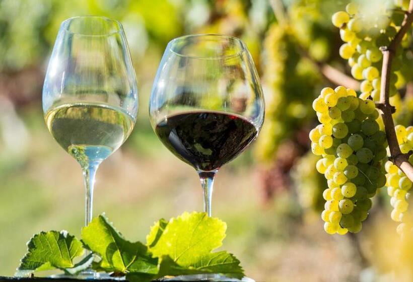 酒店 Gasthof Teiser Stern