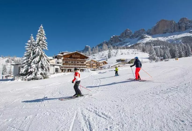 Hotelli Moseralm Dolomiti Spa Resort