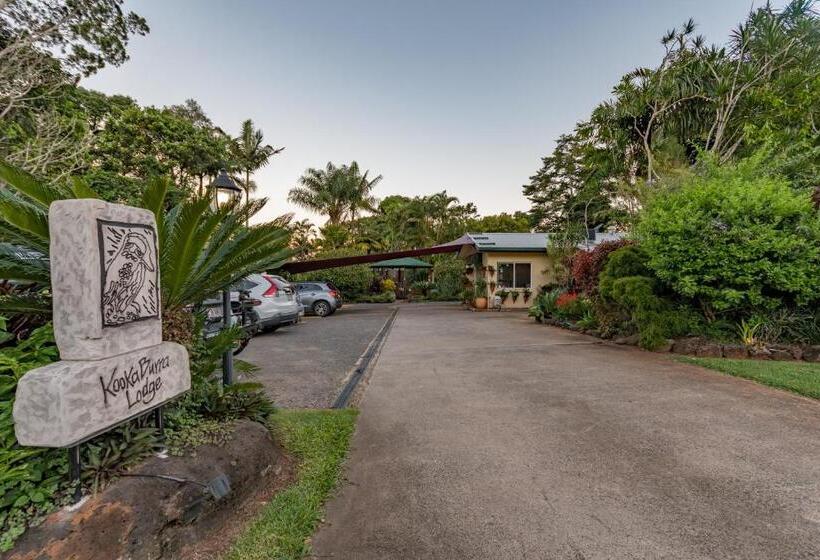 Kookaburra Motel Yungaburra