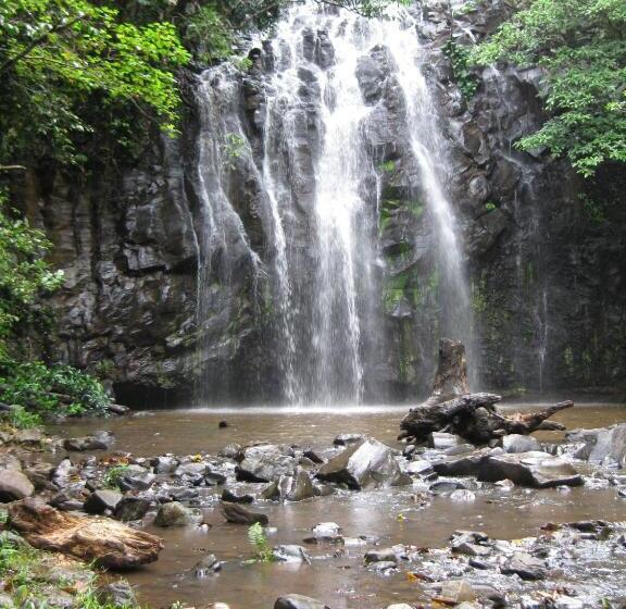 Kookaburra Motel Yungaburra