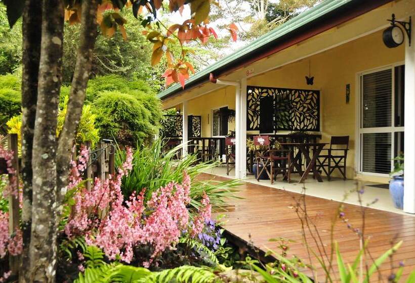 Kookaburra Motel Yungaburra