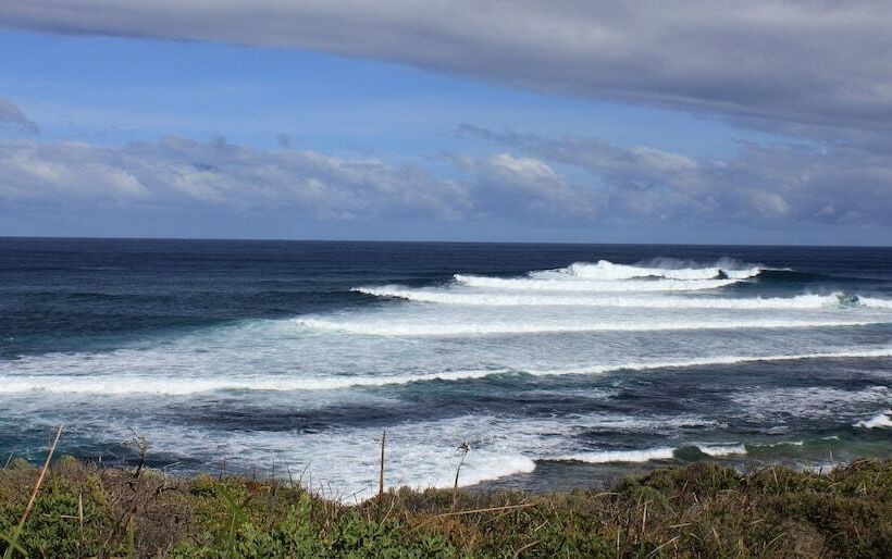 Edge Of The Forest Motel
