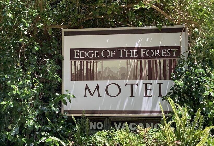 Edge Of The Forest Motel