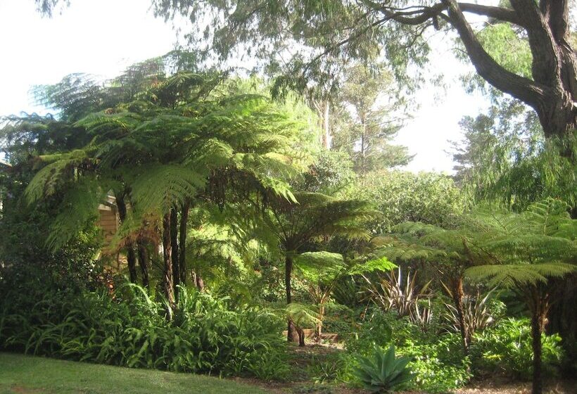 Edge Of The Forest Motel