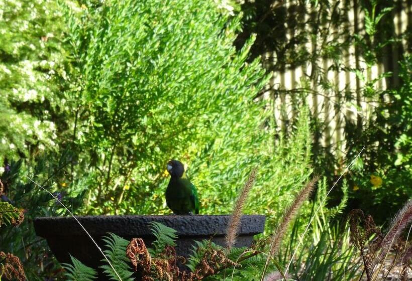 Edge Of The Forest Motel