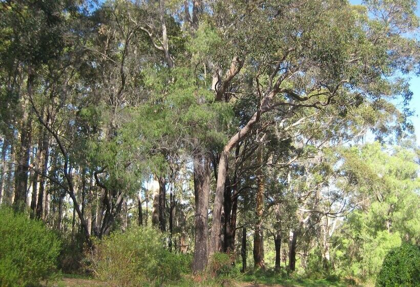 Edge Of The Forest Motel