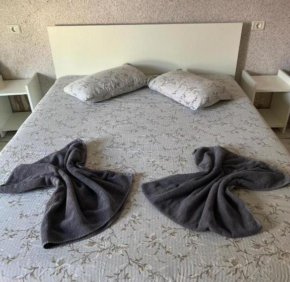 膳宿费 Neversea Black Sea Central