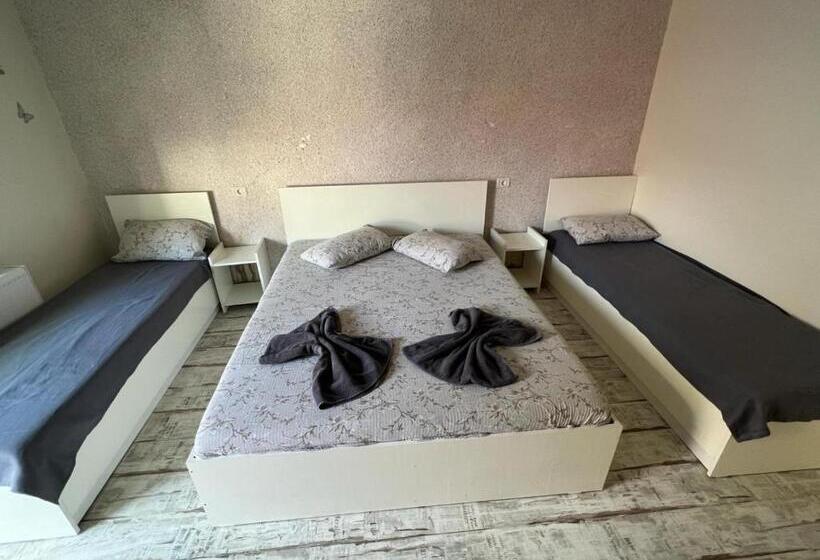 膳宿费 Neversea Black Sea Central