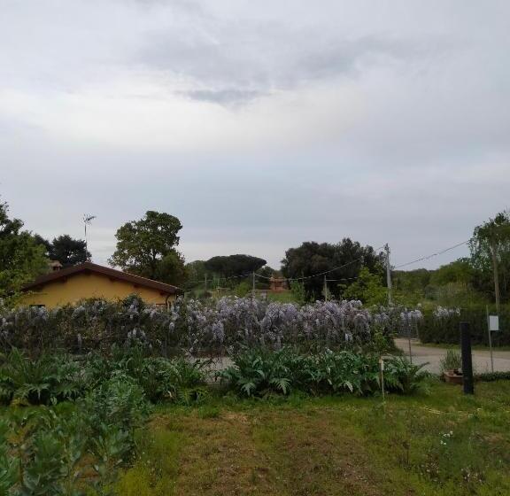 膳宿费 Villa Amelia