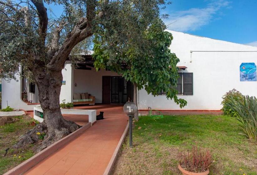 Bed and Breakfast Sardinia Del Sud