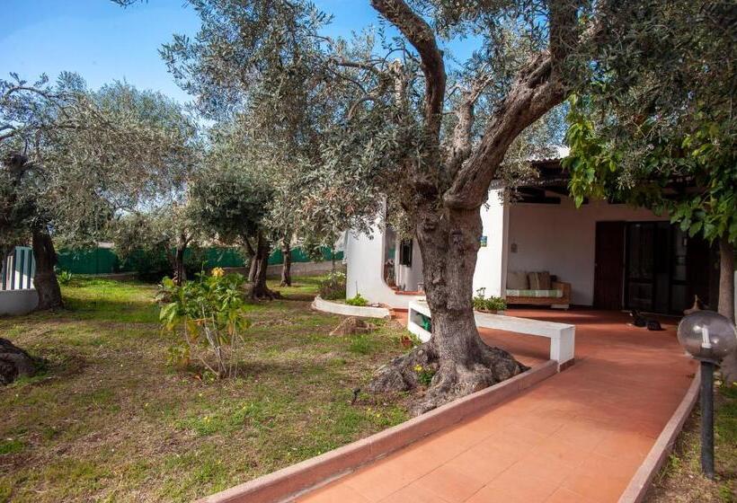 Bed and Breakfast Sardinia Del Sud
