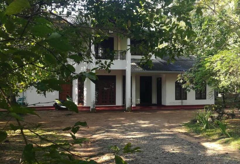 ホテル Vessagiri Reach Resort