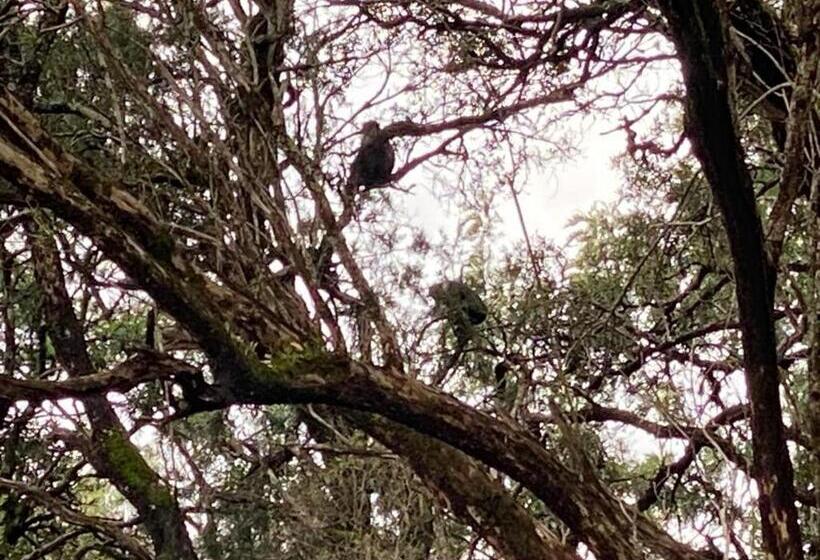 پانسیون Kijabe Sunset View Guesthouse