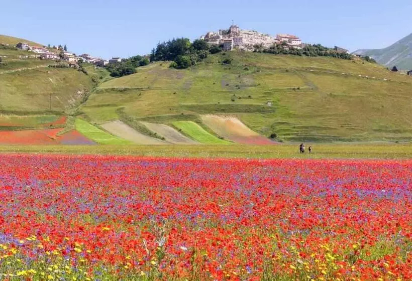 ホテル Agriturismo Monte Veletta