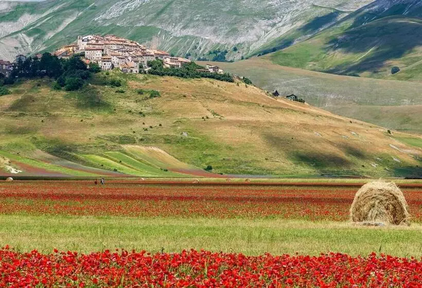 ホテル Agriturismo Monte Veletta