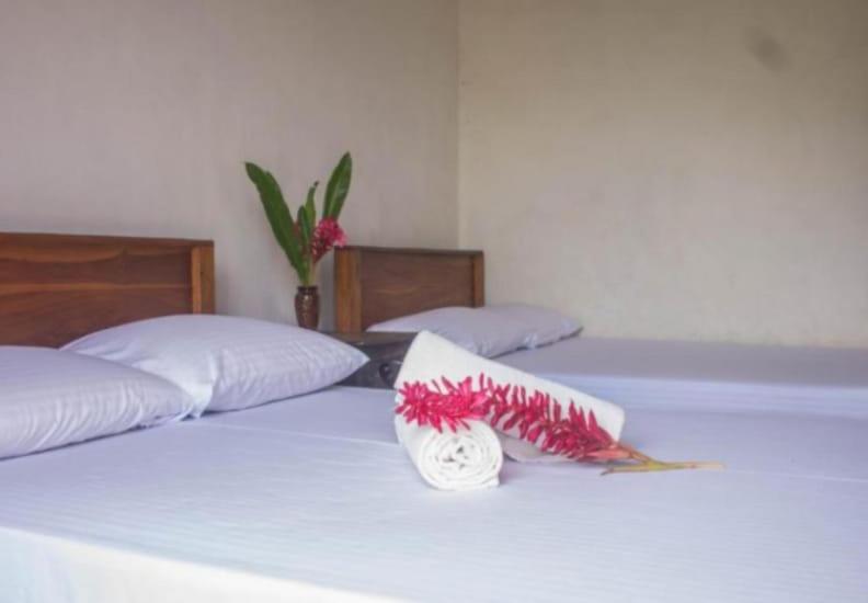 Hotel Eco Green Villa