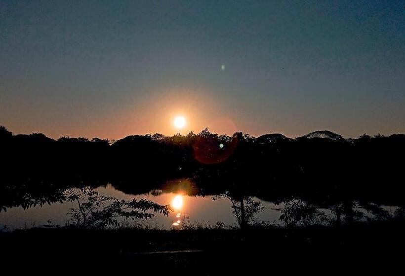 Hotel Eco Green Villa