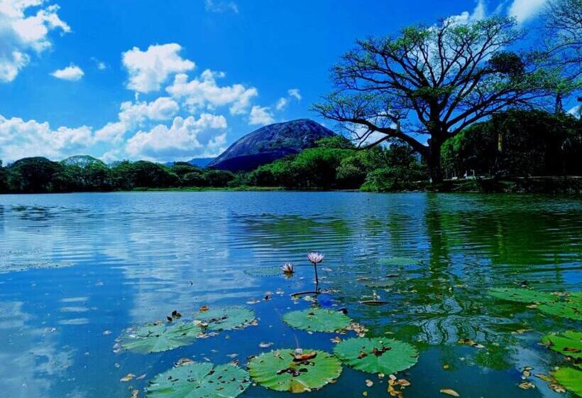 Hotel Eco Green Villa