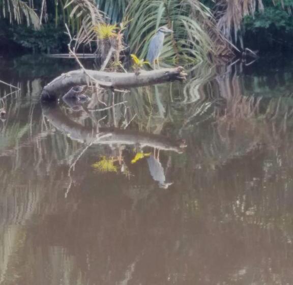 هتل Esmeralda Lodge