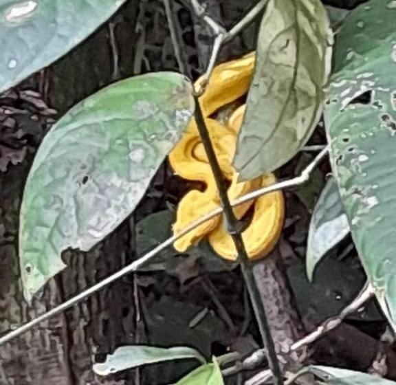 هتل Esmeralda Lodge