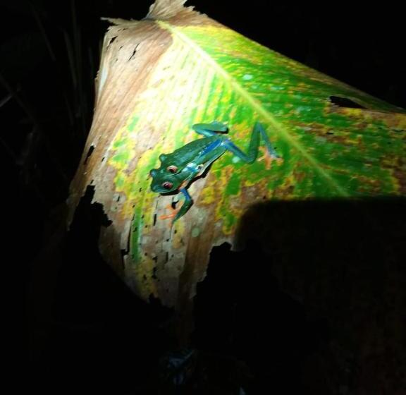 هتل Esmeralda Lodge