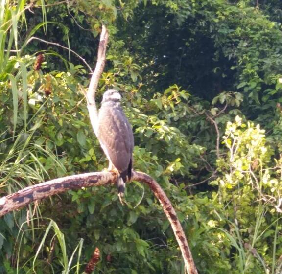 هتل Esmeralda Lodge