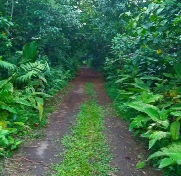 هتل Esmeralda Lodge