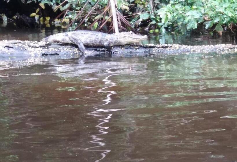 هتل Esmeralda Lodge