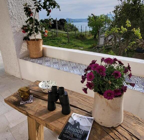 Pension Il Panorama Di Ercole