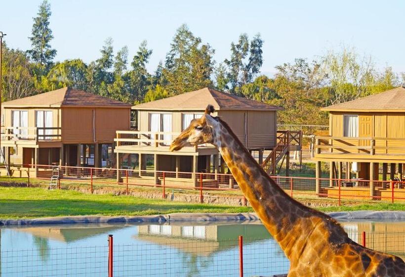 استراحتگاه Safari Lodge