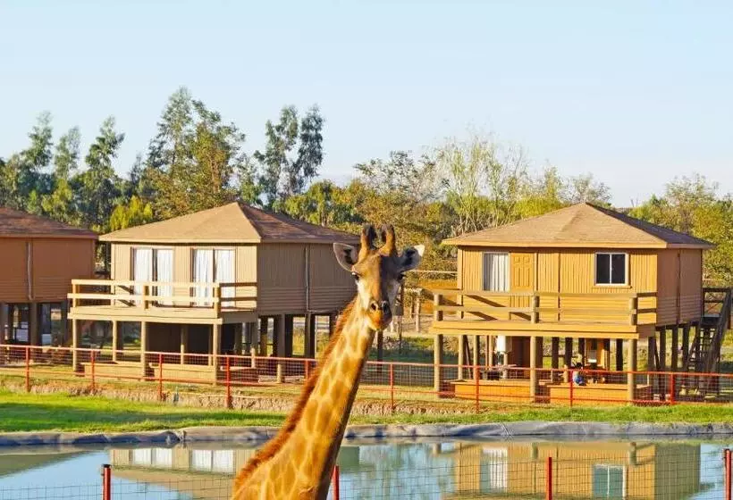 リゾートホテル Safari Lodge