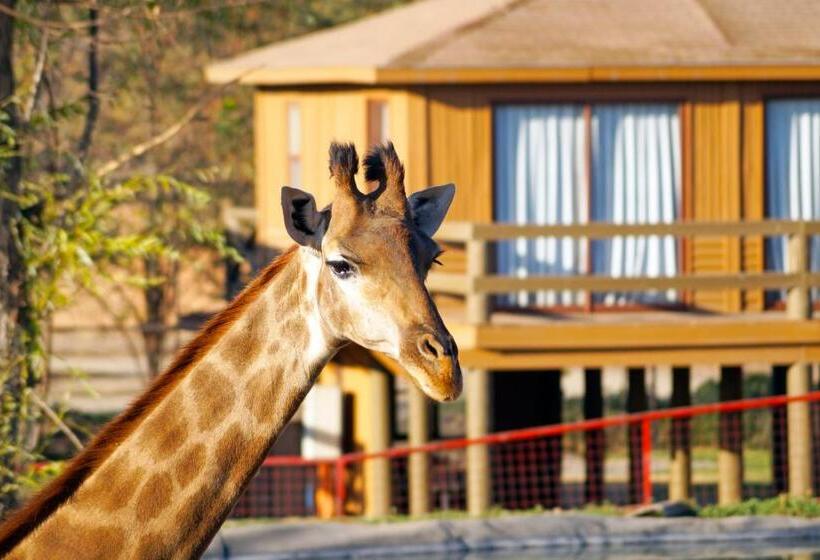 استراحتگاه Safari Lodge