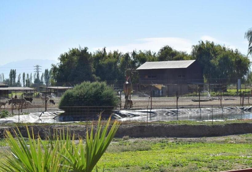 استراحتگاه Safari Lodge