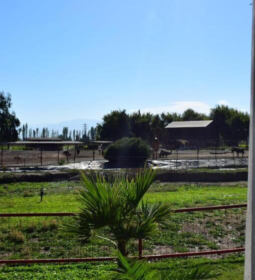 استراحتگاه Safari Lodge