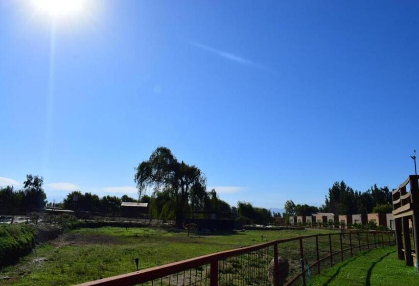 استراحتگاه Safari Lodge