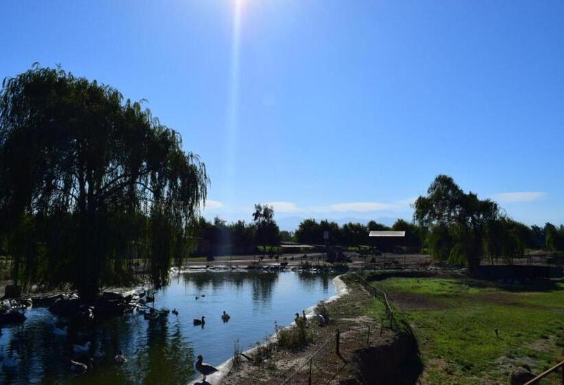 استراحتگاه Safari Lodge