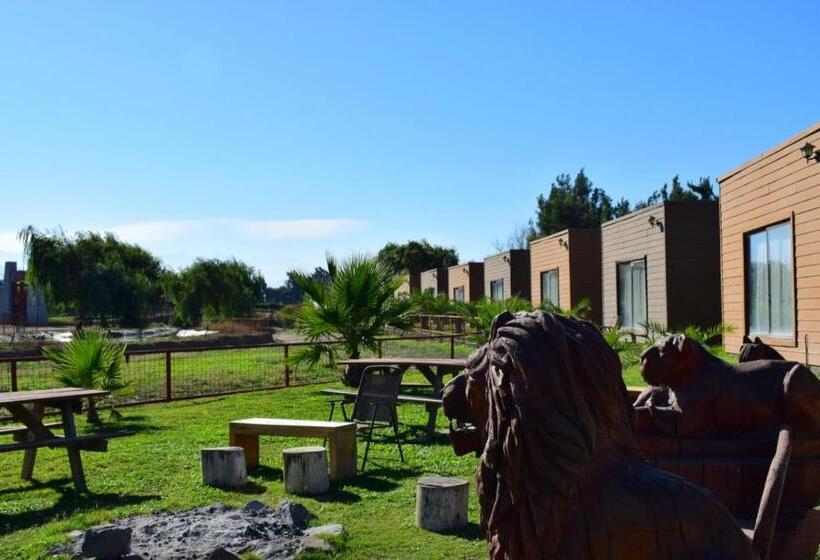 استراحتگاه Safari Lodge