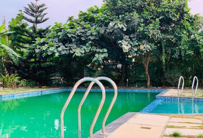 Resort Sky Touch Studio Rooms