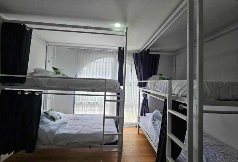 Tiger House Hostel Koh Tao