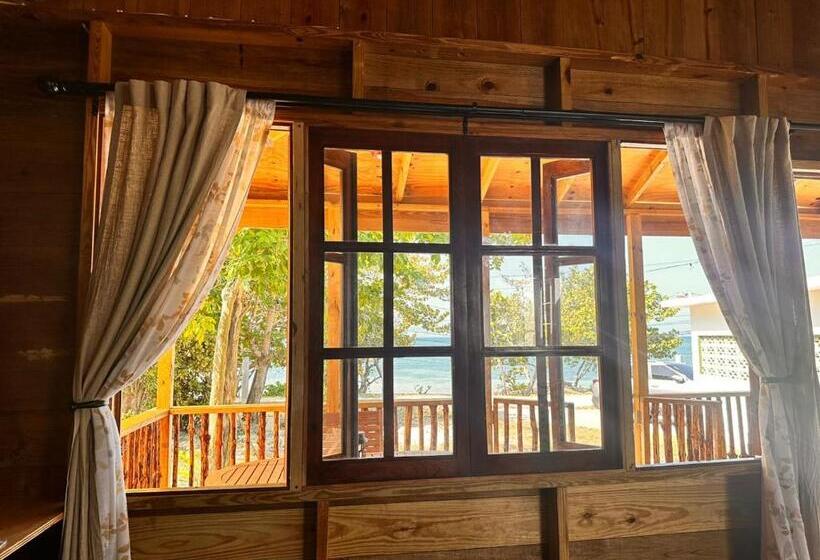 تختخواب و صبحانه Humble Boy Retreat Storeroom Cabin