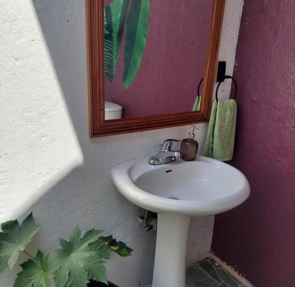 تختخواب و صبحانه Humble Boy Retreat Storeroom Cabin