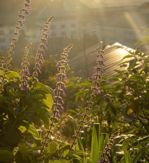 ホテル W15 Glenfall Nuwara Eliya