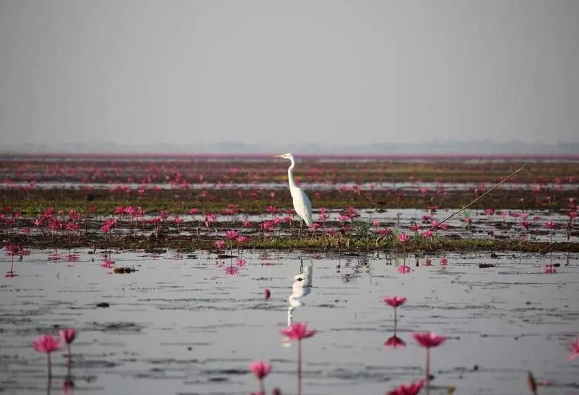 ペンション Hormduk Resort