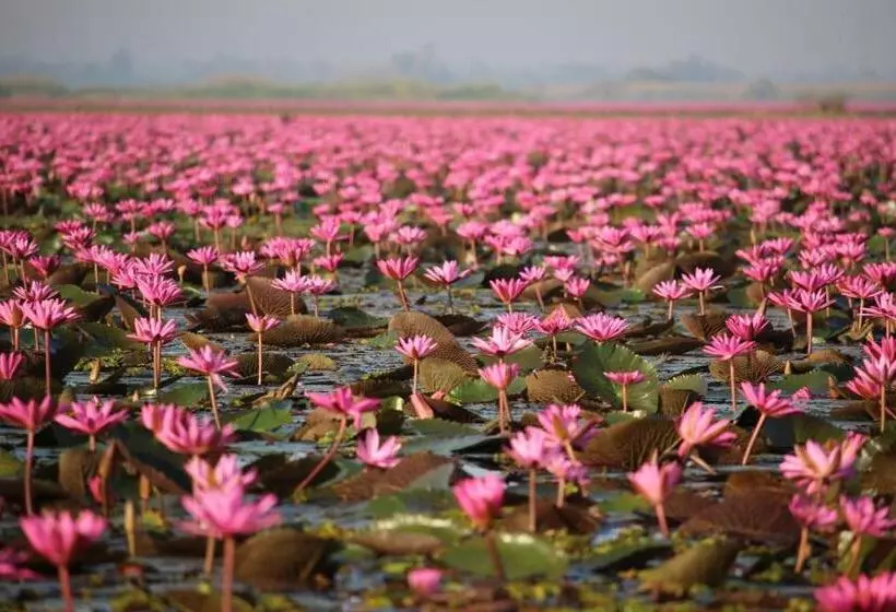 ペンション Hormduk Resort