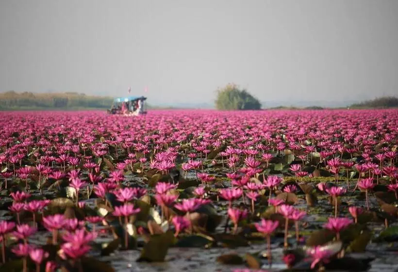 ペンション Hormduk Resort