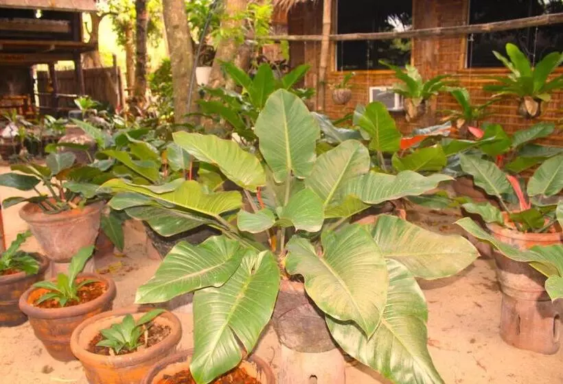 Driftwood Village Resort